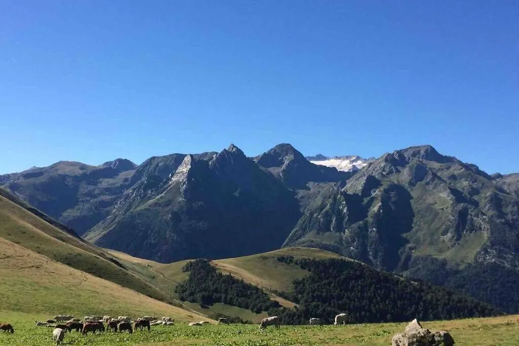 Luchon Chalet 16 Couchage Villa Montauban-de-Luchon Holiday home